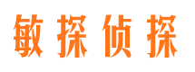 平乐敏探私家侦探公司